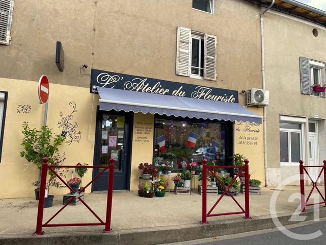 Appartement à vendre ST DIDIER SUR CHALARONNE