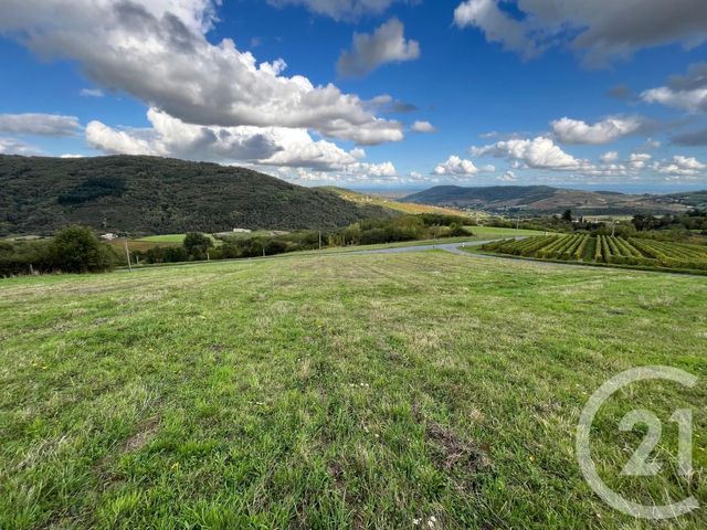 Terrain à vendre - 1535 m2 - Vauxrenard - 69 - RHONE-ALPES